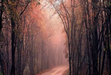 德赢VWIN下载:英超第12輪阿森納0-1伯恩利 紮卡染紅奧巴梅揚自擺烏龍.