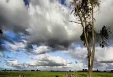 [乒乓球]亚洲杯小组赛第2轮：王艺迪VS平野美宇.